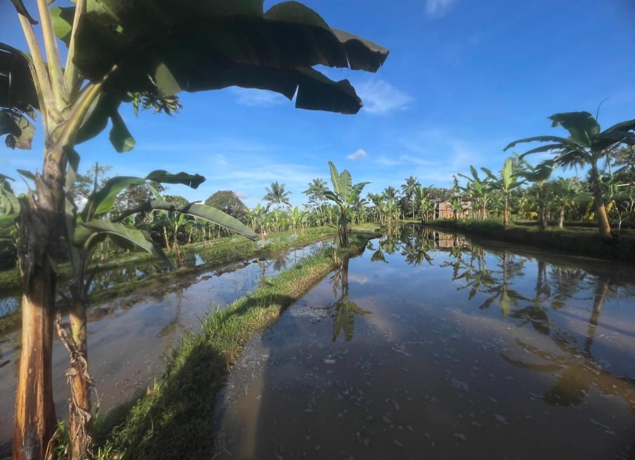 Opik Homestay Tete Batu Тетебату Экстерьер фото
