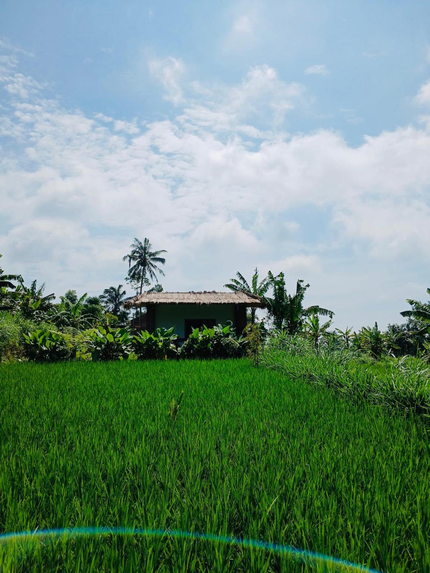 Opik Homestay Tete Batu Тетебату Экстерьер фото