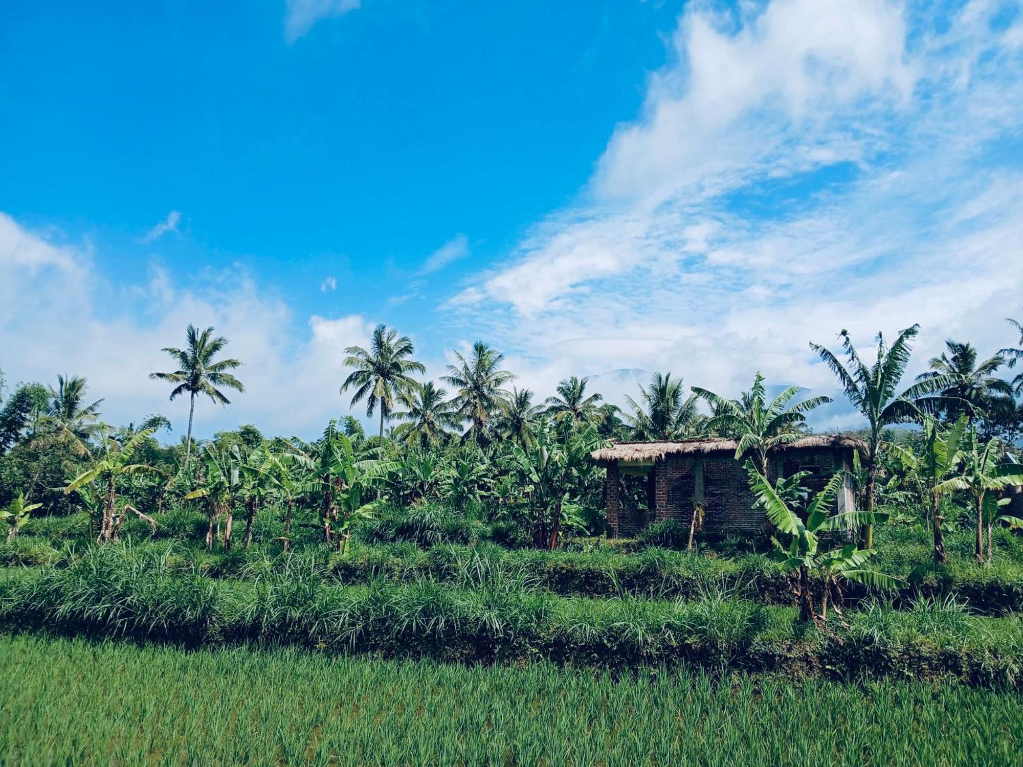 Opik Homestay Tete Batu Тетебату Экстерьер фото
